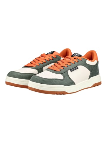 Scotch & Soda Sneaker Grün/Beige
