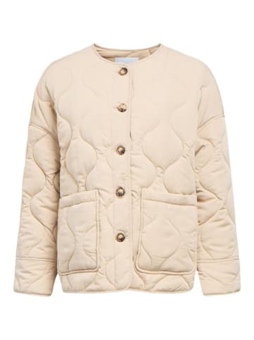 Object Jacke in Humus