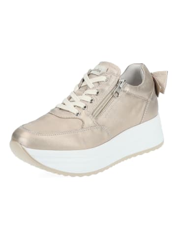 Nero Giardini Sneaker in Bronze