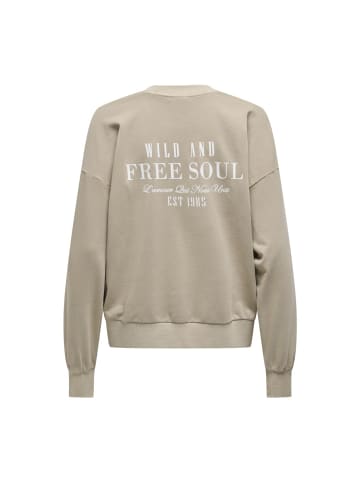 ONLY Sweatshirt in Pure Cashmere