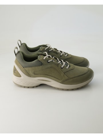 Ecco Sneaker low in Grün