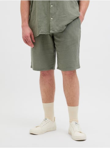 JACK & JONES PLUS Shorts in Mulled Basil