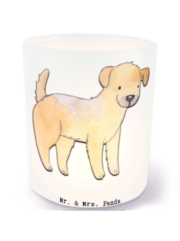 Mr. & Mrs. Panda Glas Windlicht Border Terrier Moment ohne Spruch in Transparent