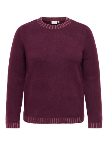 ONLY Carmakoma Strickpullover in Fig 1