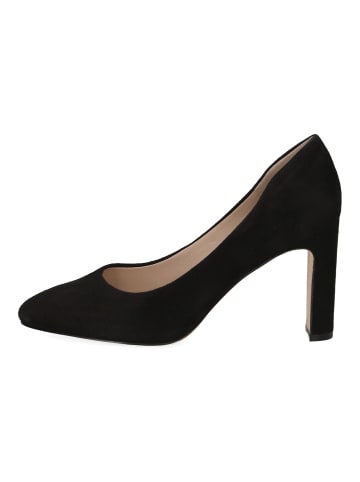 Caprice Pumps in Schwarz