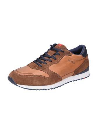 LLOYD Schnürschuhe  Sportlich in braun
