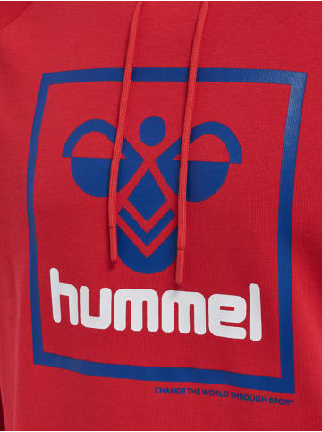 Hummel Hummel Hoodie Hmlisam Herren in BARBADOS CHERRY