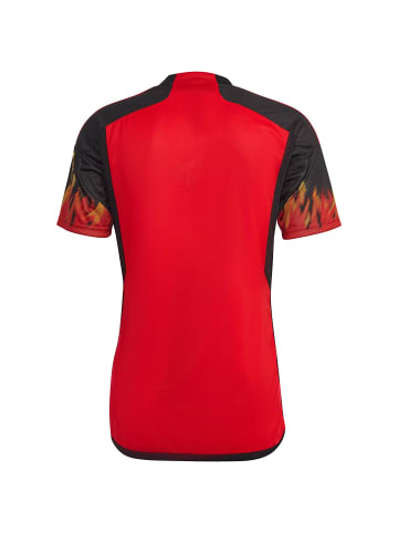 adidas Performance Fußballtrikot Belgien Home WM 2022 in rot / schwarz