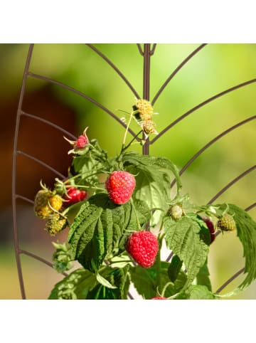 relaxdays 2-tlg. Rankgitter-Set in Braun