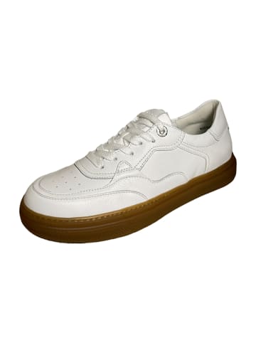 Paul Green Sportliche Schnürschuhe in Weiß
