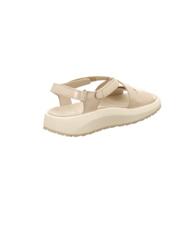 Joya Schuhe in beige