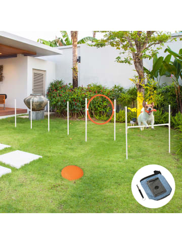 Pawhut Hunde Agility Set Weiß+Blau+Rot+Orange PVC