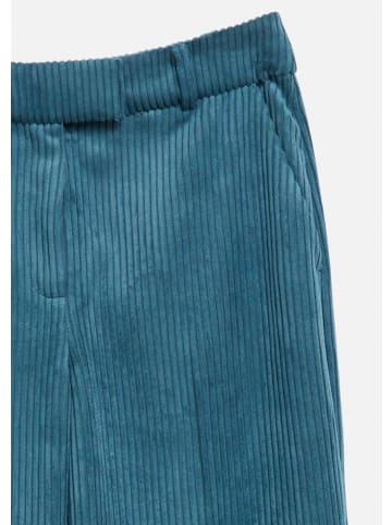 comma Hose in 5548_petrol