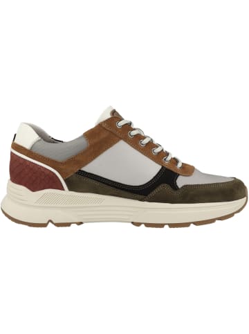 Australian Footwear Sneaker low Connery XT in grau