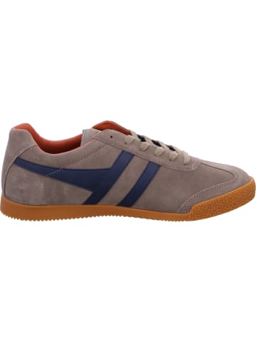 Gola Sneaker Harrier Suede in Braun