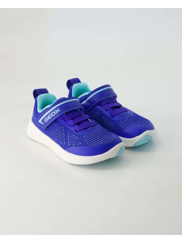 Geox Barfußschuhe in Blau