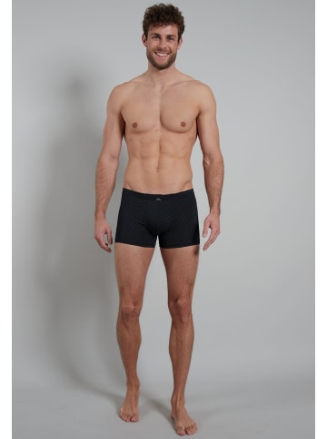 Götzburg Pants 2Er Pack X-Lastic in schwarz-dunkel-Karo