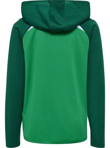 Hummel Kinder Trainingsjacke "Lead 2.0 Zip Hoodie" in Grün