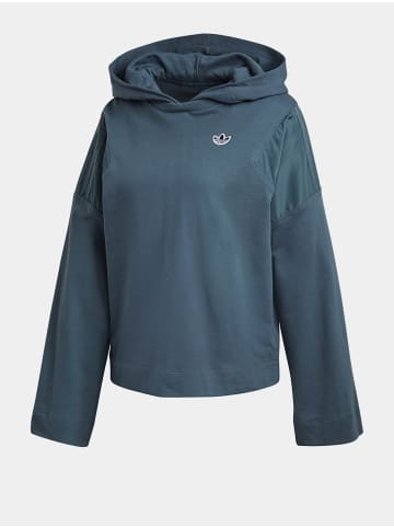 adidas Kapuzenpullover in blue