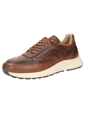 Sioux Sneaker Kavikano-700 in cognac