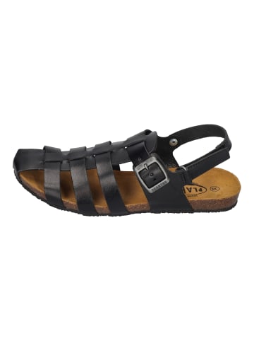 Plakton Sandalen 575976 in schwarz