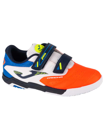 Joma Joma Cancha Jr.24 IN CAJS in Orange