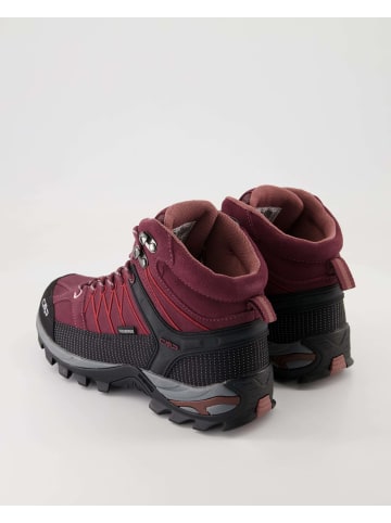 cmp Wanderschuhe in Bordeaux