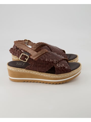 Terry Offene Schuhe in Braun