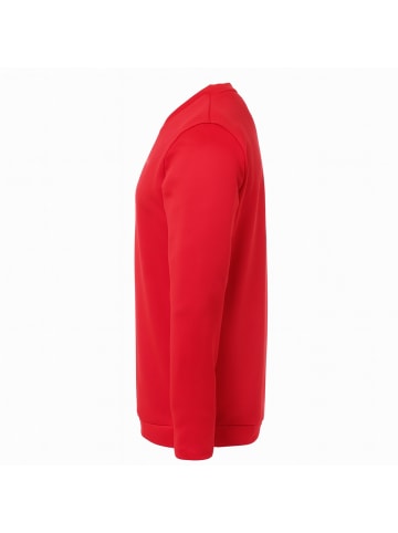 uhlsport  Langarmshirt ESSENTIAL TRAINING TOP Kids in rot/weiß