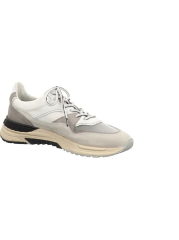 Floris van Bommel Sneaker in weiss