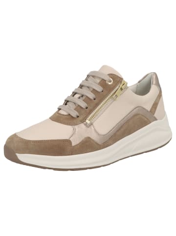 Solidus Damen- Schnürschuhe Kitty Weite H+K in Beige