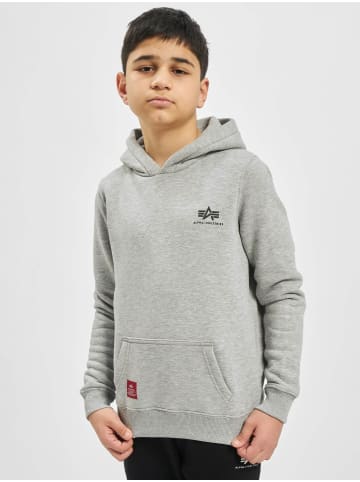 Alpha Industries Alpha Industries Hoodie in grey heather