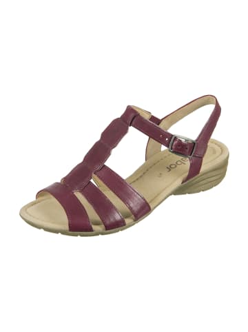 Gabor Komfort Sandalen in Rot