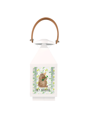 Mr. & Mrs. Panda Laterne Bär Gitarre mit Spruch in Transparent