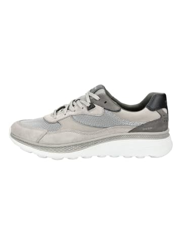 Geox Sneaker in Hellgrau