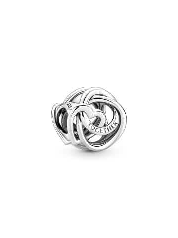 Pandora Charm Familie - Sterling Silber