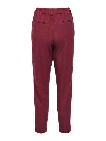 Object Hose in cabernet