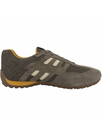 Geox Sneaker für Herren in taupe