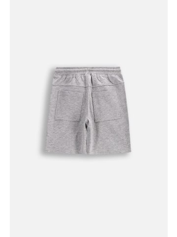Coccodrillo Kurze Hosen in grau