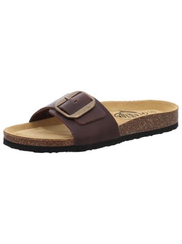 Plakton Klassische Pantolette in braun