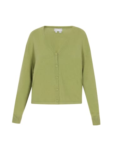 Usha Women Cardigan in light green