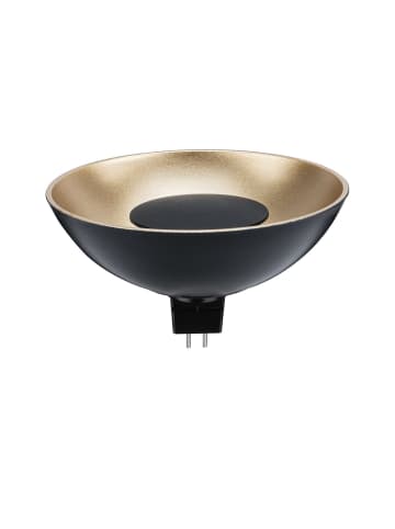 paulmann LED Reflektor G