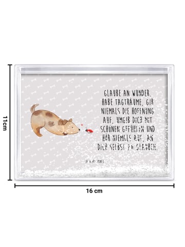 Mr. & Mrs. Panda Schüttelrahmen Hund Marienkäfer mit Spruch in Grau Pastell