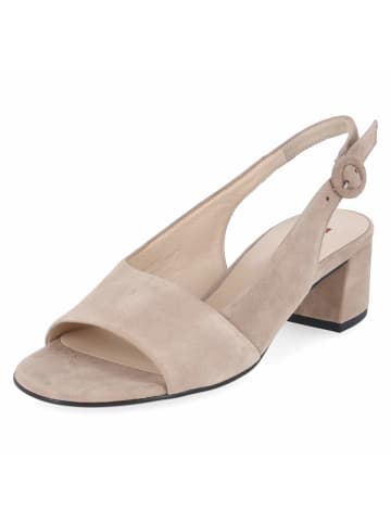 Högl Slingsandaletten in taupe