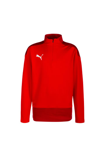 Puma Sweatshirt teamGOAL 23 in rot / dunkelrot