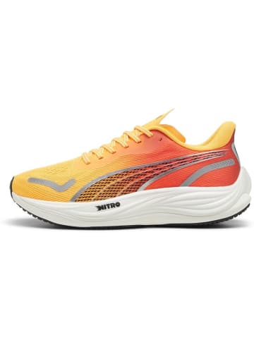 Puma Laufschuh "Velocity Nitro 3 FADE" in Orange