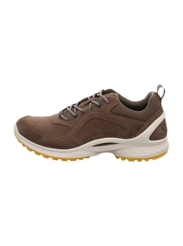 Ecco Wander- & Bergschuhe in Braun