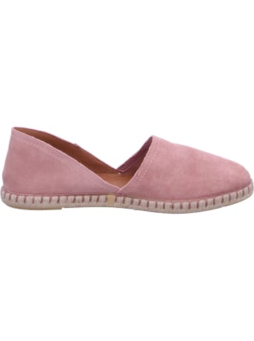 Verbenas Slipper Carmen in Rosa