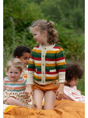 Little Green Radicals Regenbogen-Strickjacke in Multi