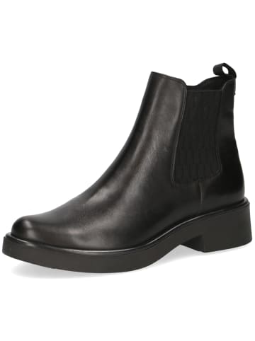 Caprice Stiefelette in schwarz